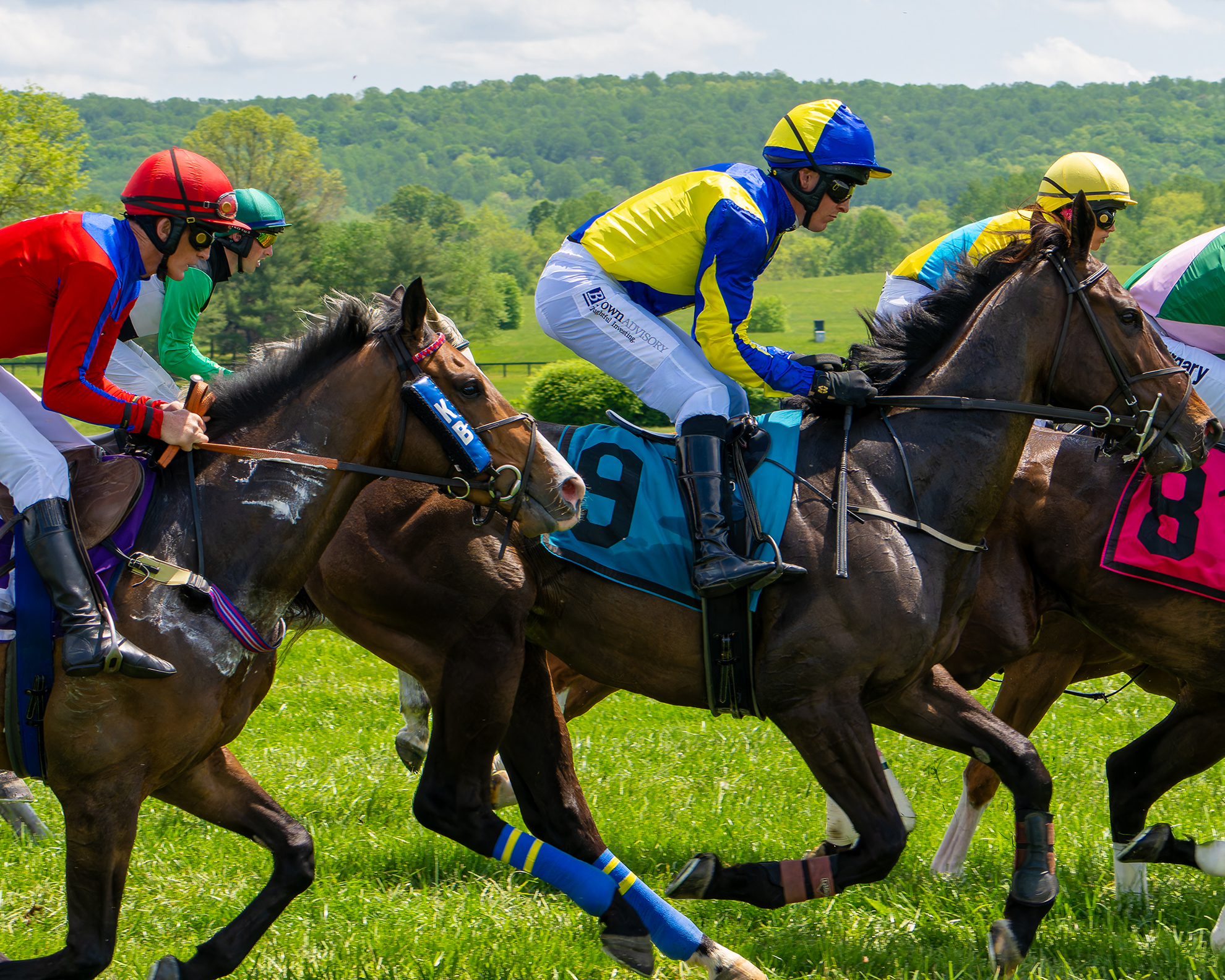 Virginia Gold Cup 2025
